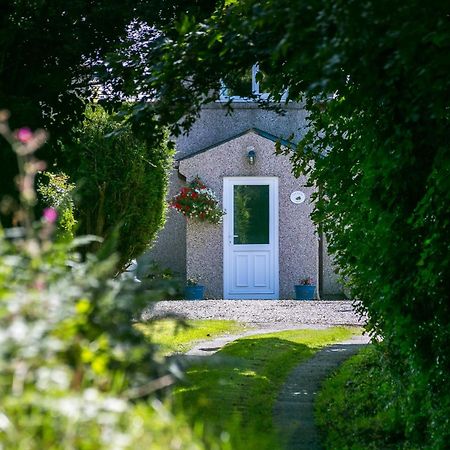 Tyn Llain B&B Llanfflewyn Zewnętrze zdjęcie
