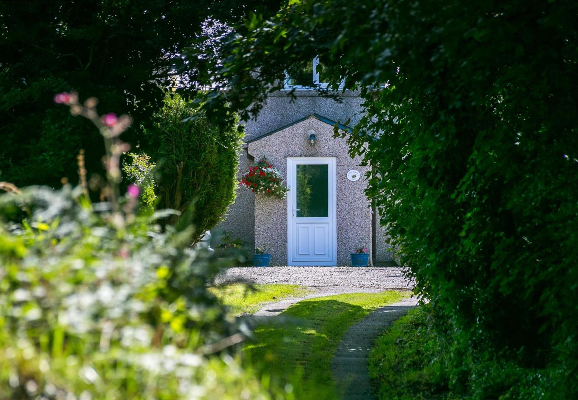 Tyn Llain B&B Llanfflewyn Zewnętrze zdjęcie